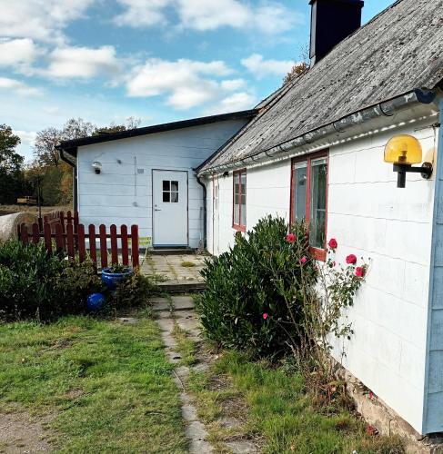 Holiday house in Skane close to nature